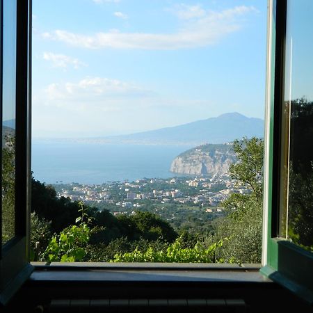 Gli Ulivi Agriturismo Sant'Agnello Esterno foto