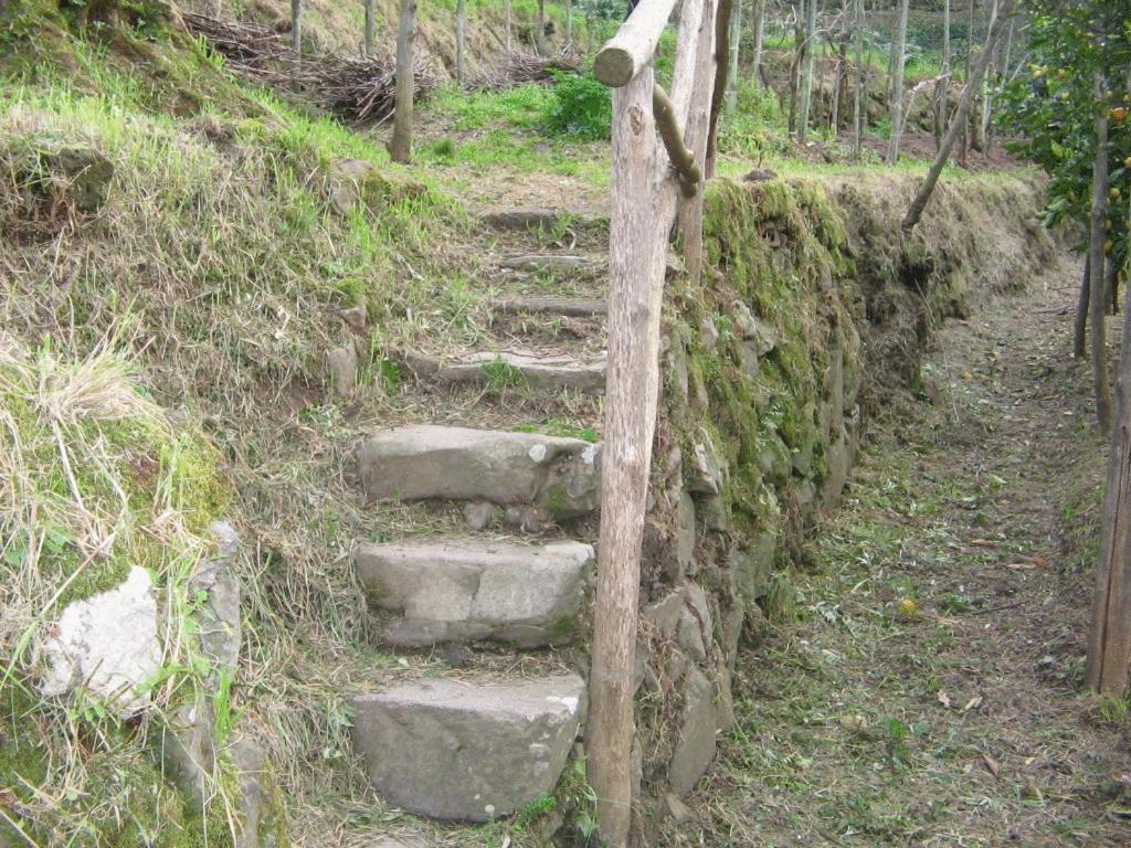 Gli Ulivi Agriturismo Sant'Agnello Esterno foto