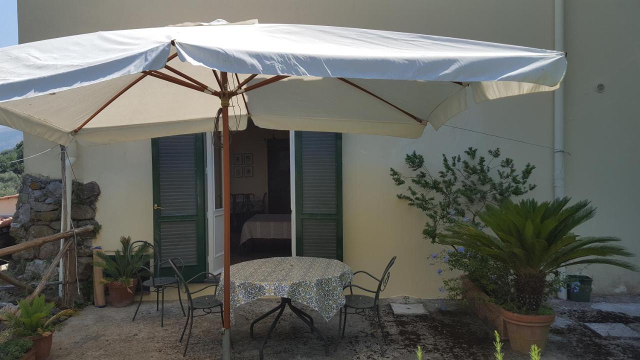Gli Ulivi Agriturismo Sant'Agnello Esterno foto