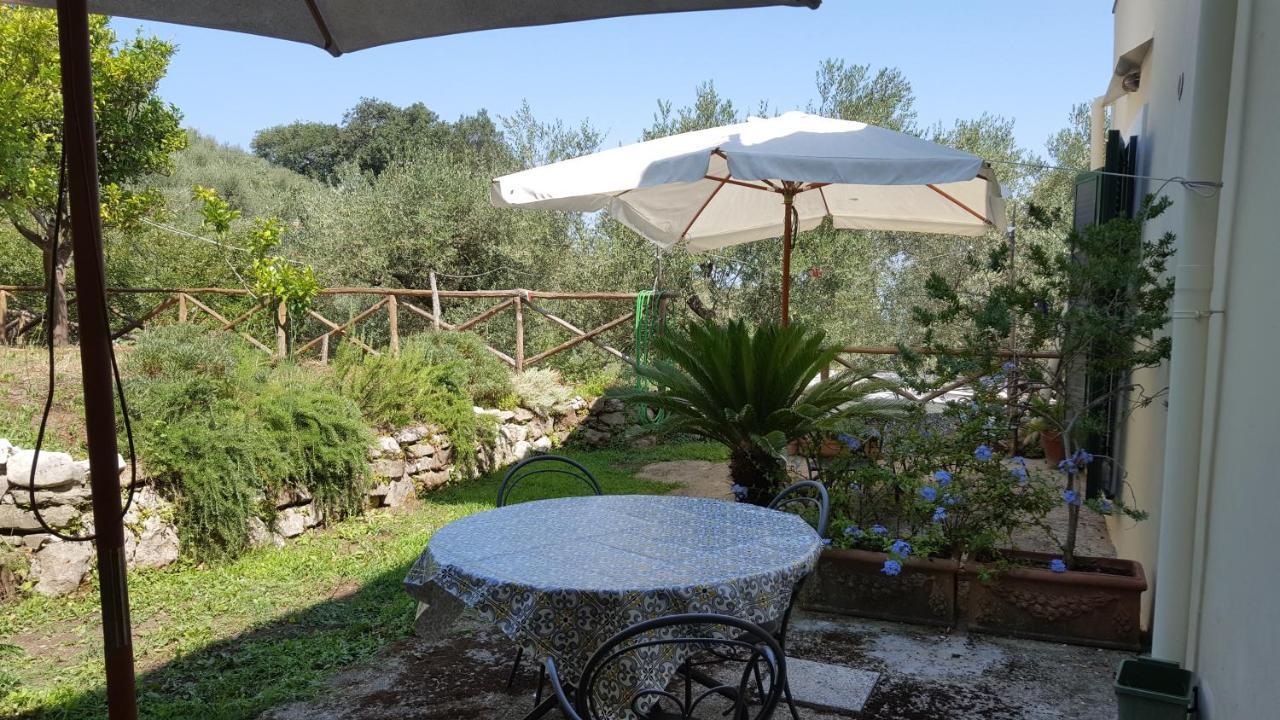 Gli Ulivi Agriturismo Sant'Agnello Esterno foto