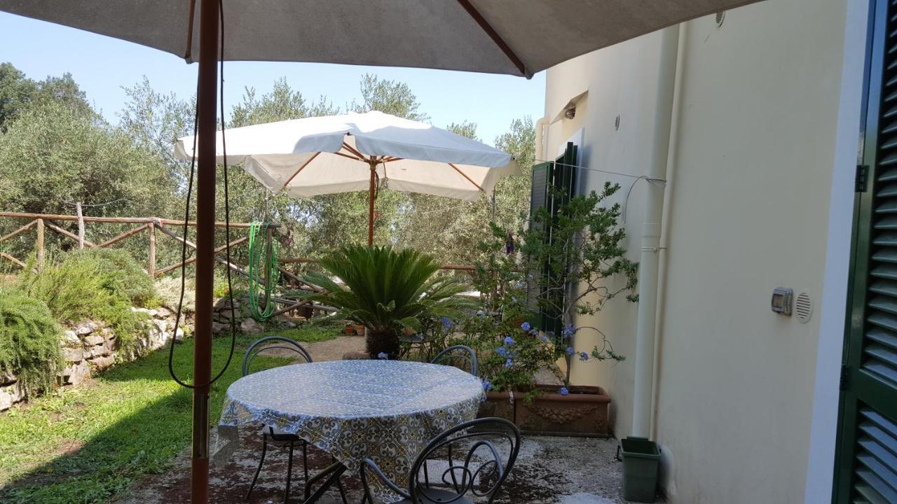 Gli Ulivi Agriturismo Sant'Agnello Esterno foto