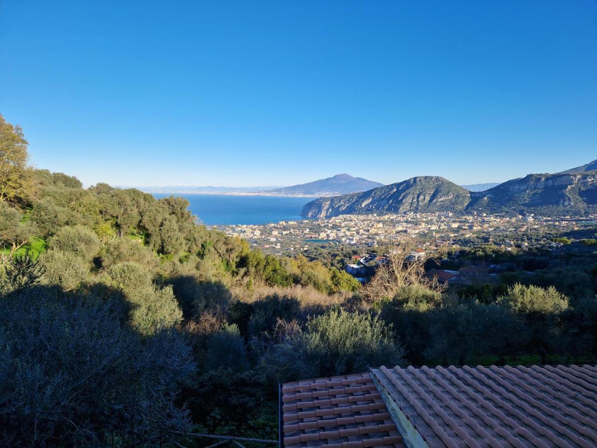 Gli Ulivi Agriturismo Sant'Agnello Esterno foto