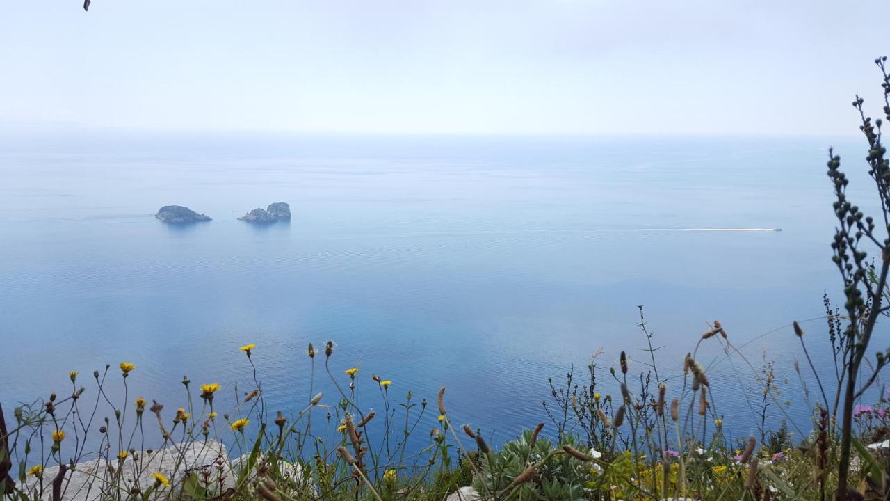 Gli Ulivi Agriturismo Sant'Agnello Esterno foto