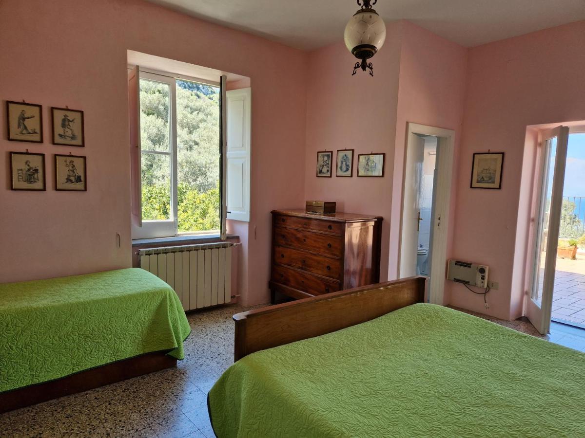 Gli Ulivi Agriturismo Sant'Agnello Esterno foto