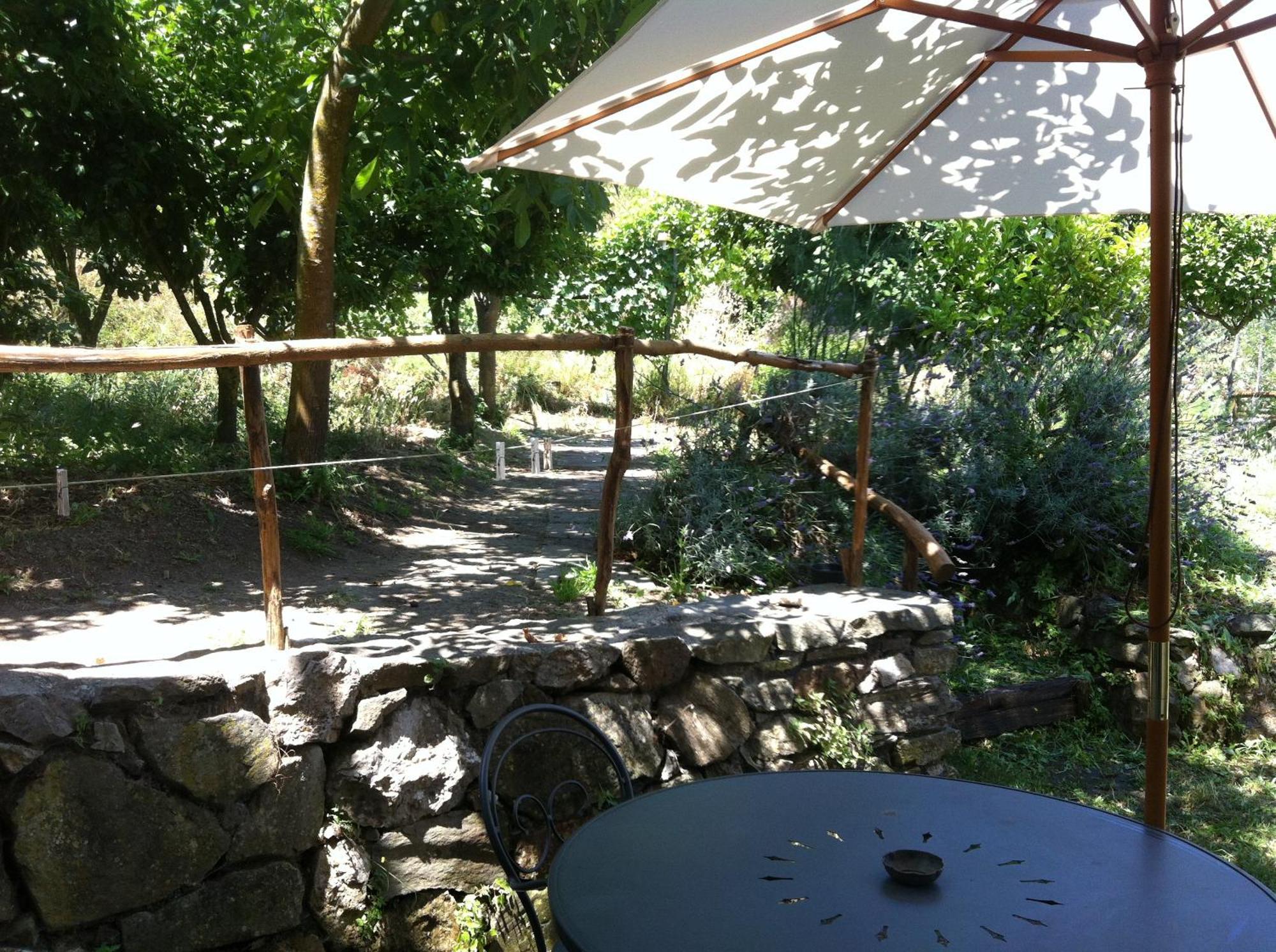 Gli Ulivi Agriturismo Sant'Agnello Esterno foto