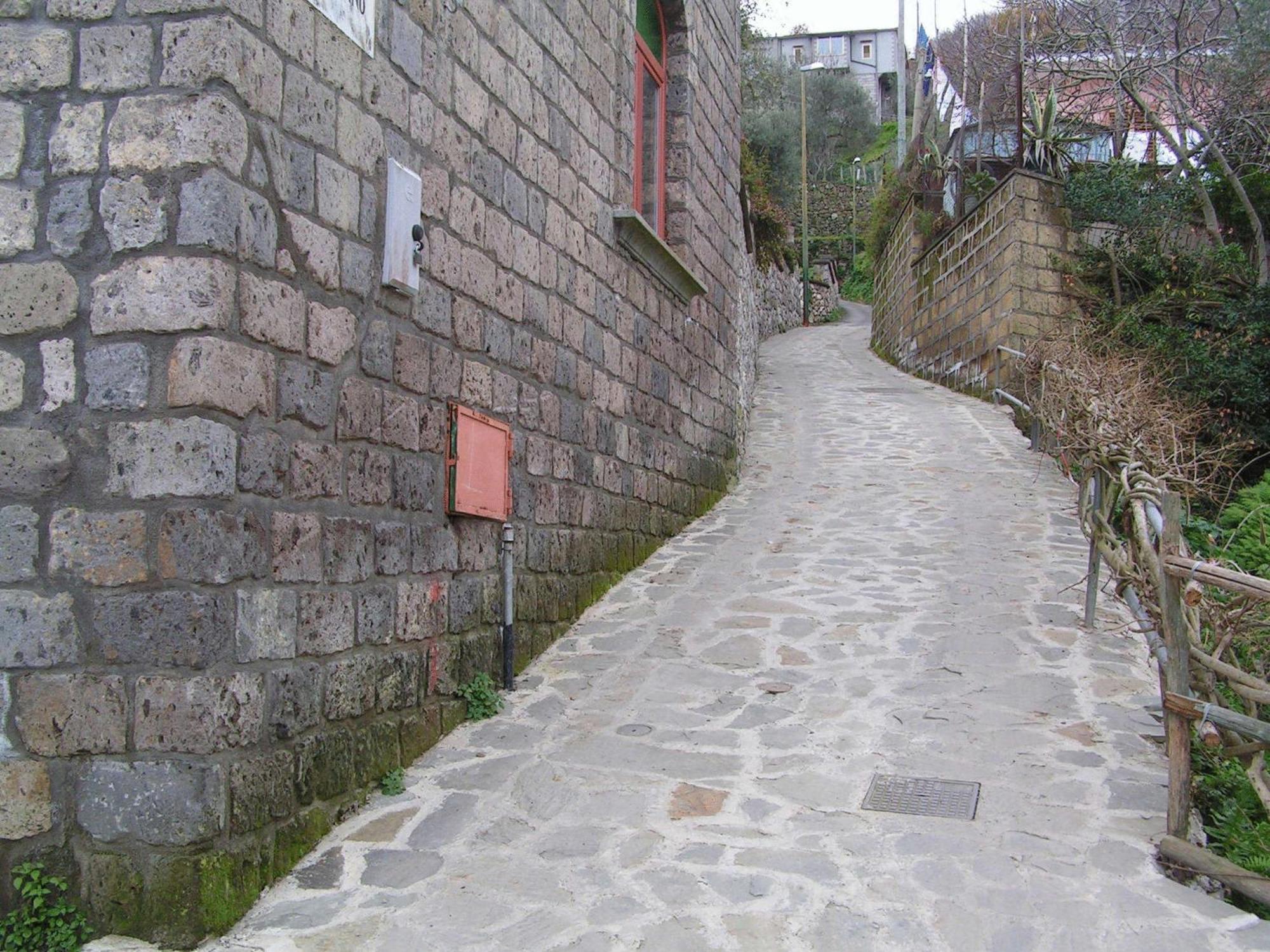 Gli Ulivi Agriturismo Sant'Agnello Esterno foto