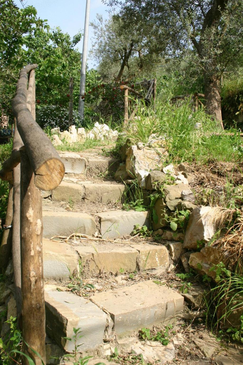 Gli Ulivi Agriturismo Sant'Agnello Esterno foto