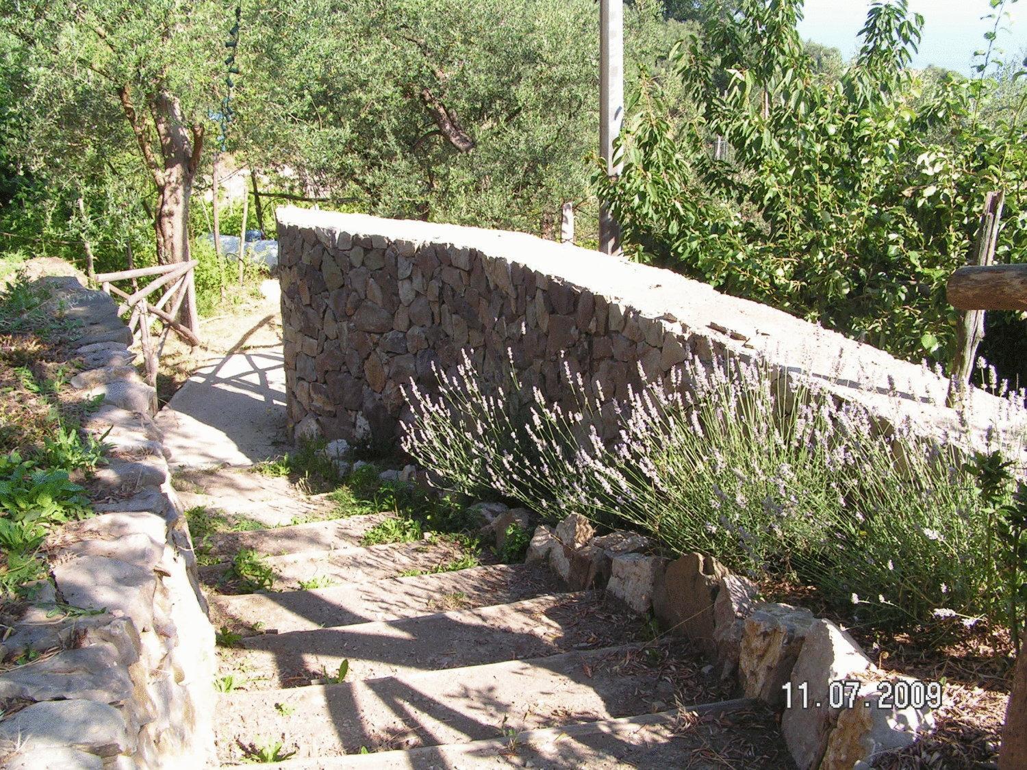 Gli Ulivi Agriturismo Sant'Agnello Esterno foto