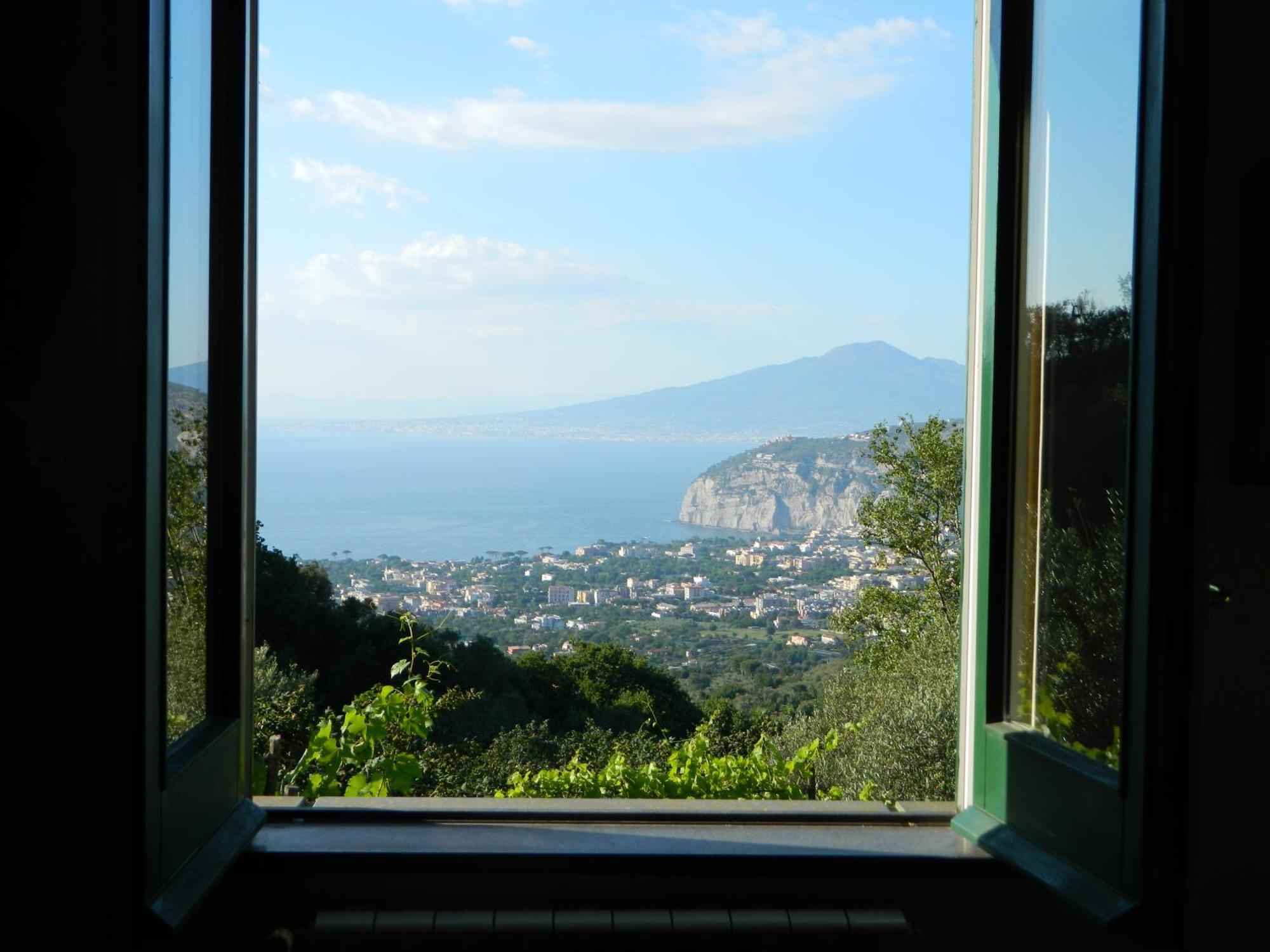 Gli Ulivi Agriturismo Sant'Agnello Esterno foto